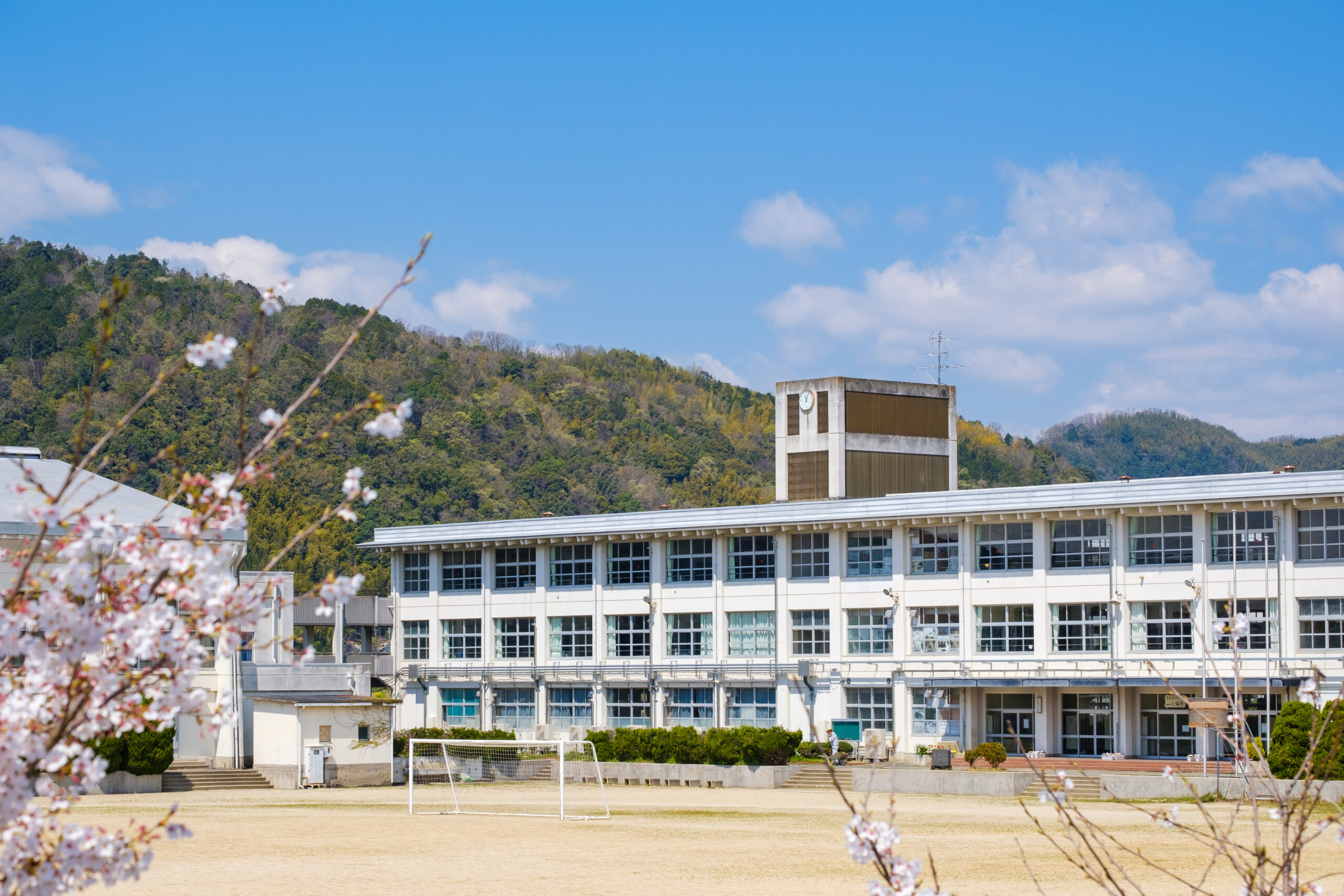 学校と桜